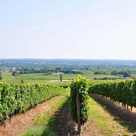 Clos Saint Sauveur - Guesthouse Au Coeur Des Vignes Sur Le Coteau Bagian luar foto