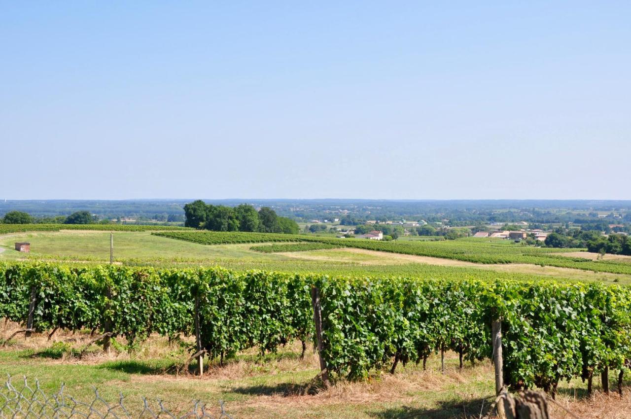 Clos Saint Sauveur - Guesthouse Au Coeur Des Vignes Sur Le Coteau Bagian luar foto
